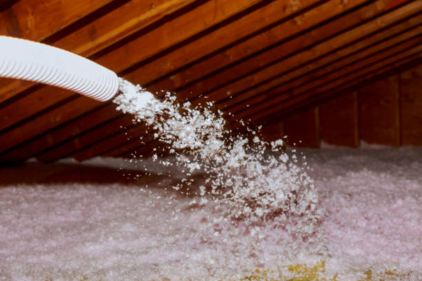 Best Crawl Space Insulation  in Ly Lake, IL
