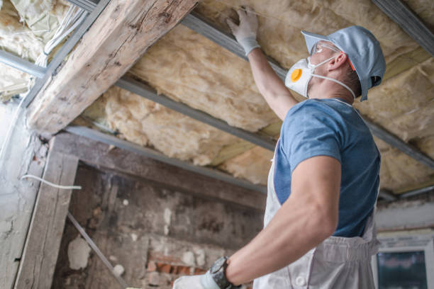 Insulation for New Construction in Lily Lake, IL