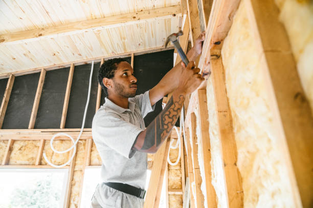 Best Spray Foam Insulation  in Ly Lake, IL