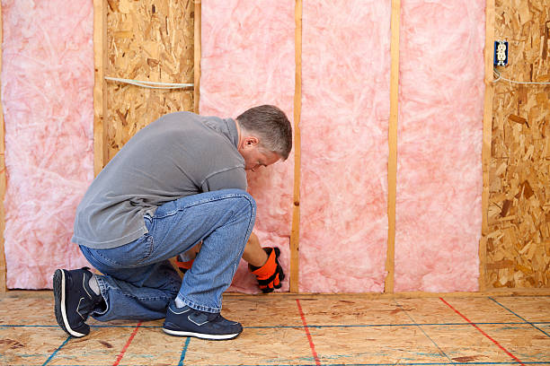 Best Professional Insulation Contractor  in Ly Lake, IL
