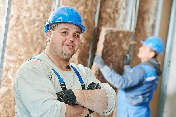 Best Insulation Removal  in Ly Lake, IL